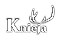 Knieja